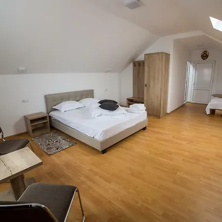 Guest house Casa Burduhos