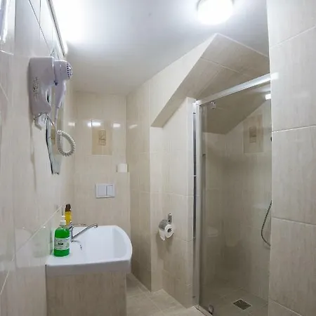 Casa Burduhos Guest house Campulung Moldovenesc